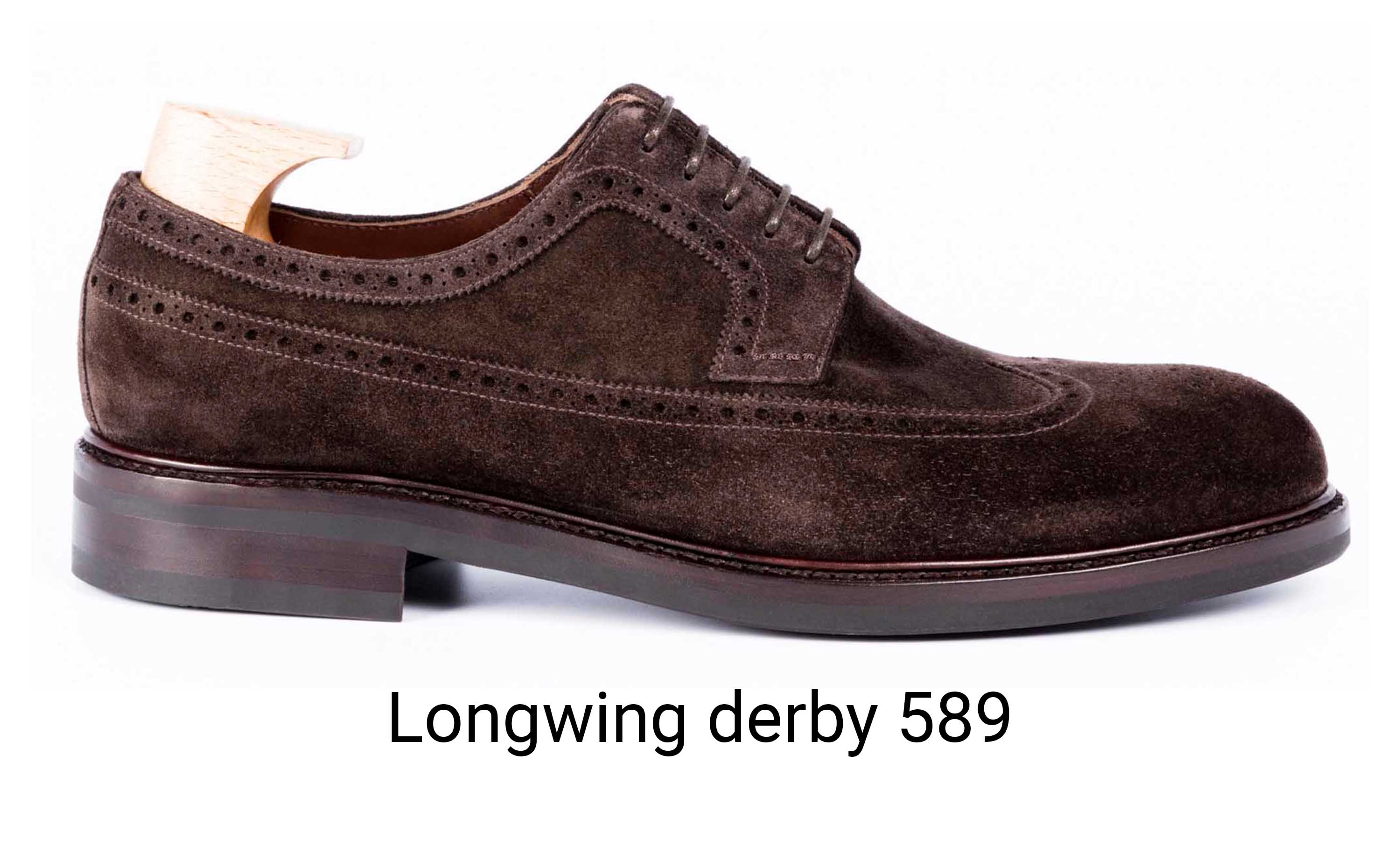 TLB Mallorca longwing derby 589